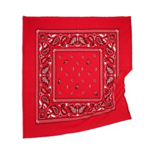 Bandana en cachemire et coton