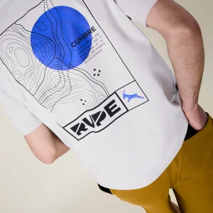 T-Shirt en coton Homme - Gris Clair | Rupe